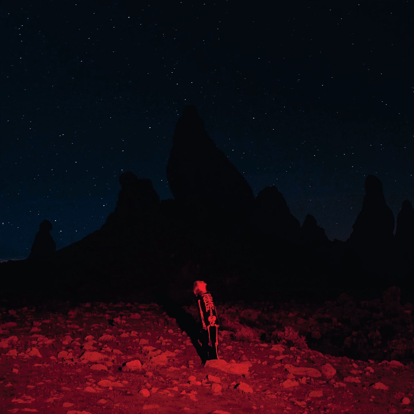 Phoebe Bridgers - Punisher