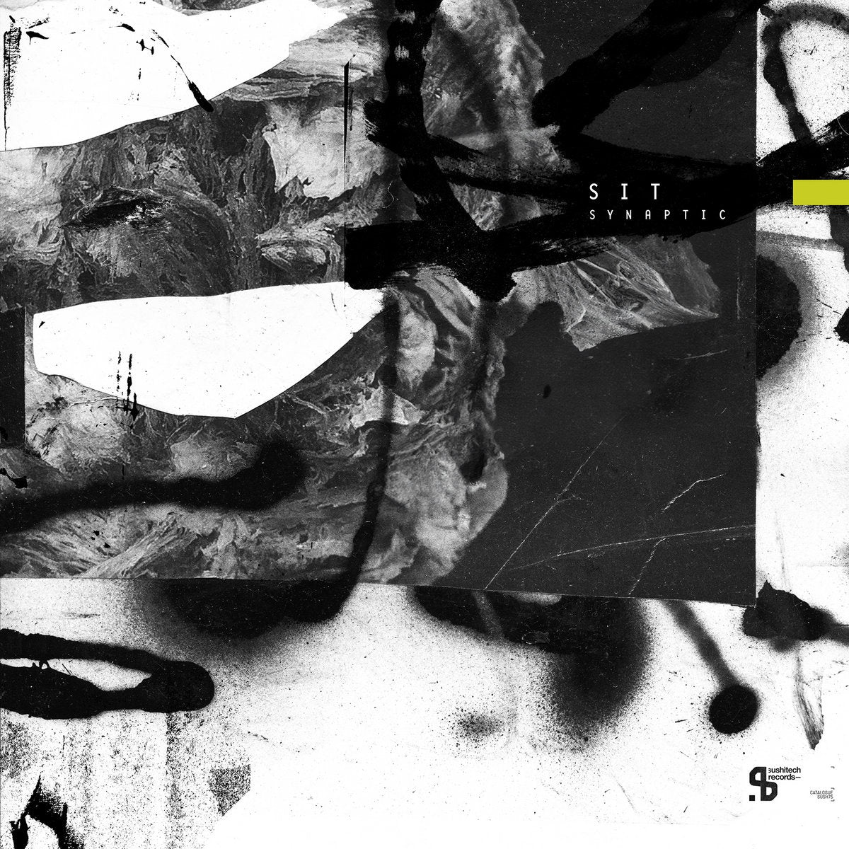 SIT – Synaptic