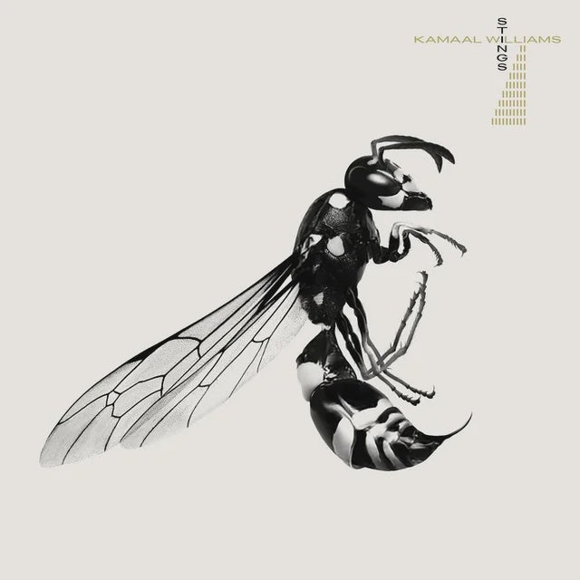Kamaal Williams – Stings (2LP Deluxe Edition)