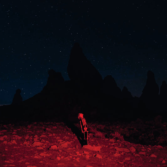 Phoebe Bridgers - Punisher