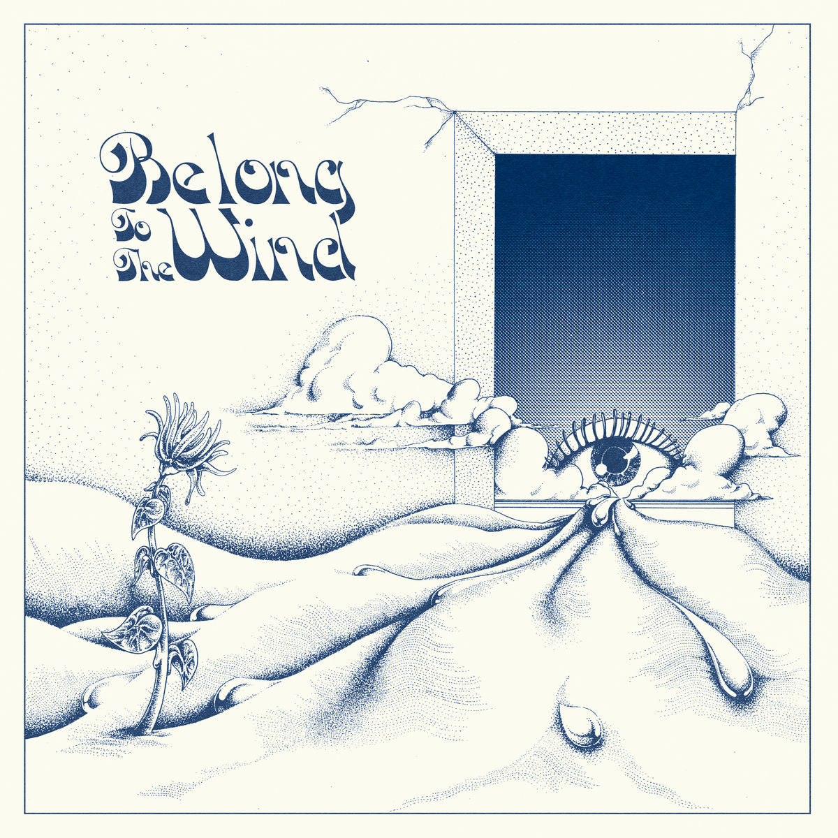 Various - Belong To The Wind