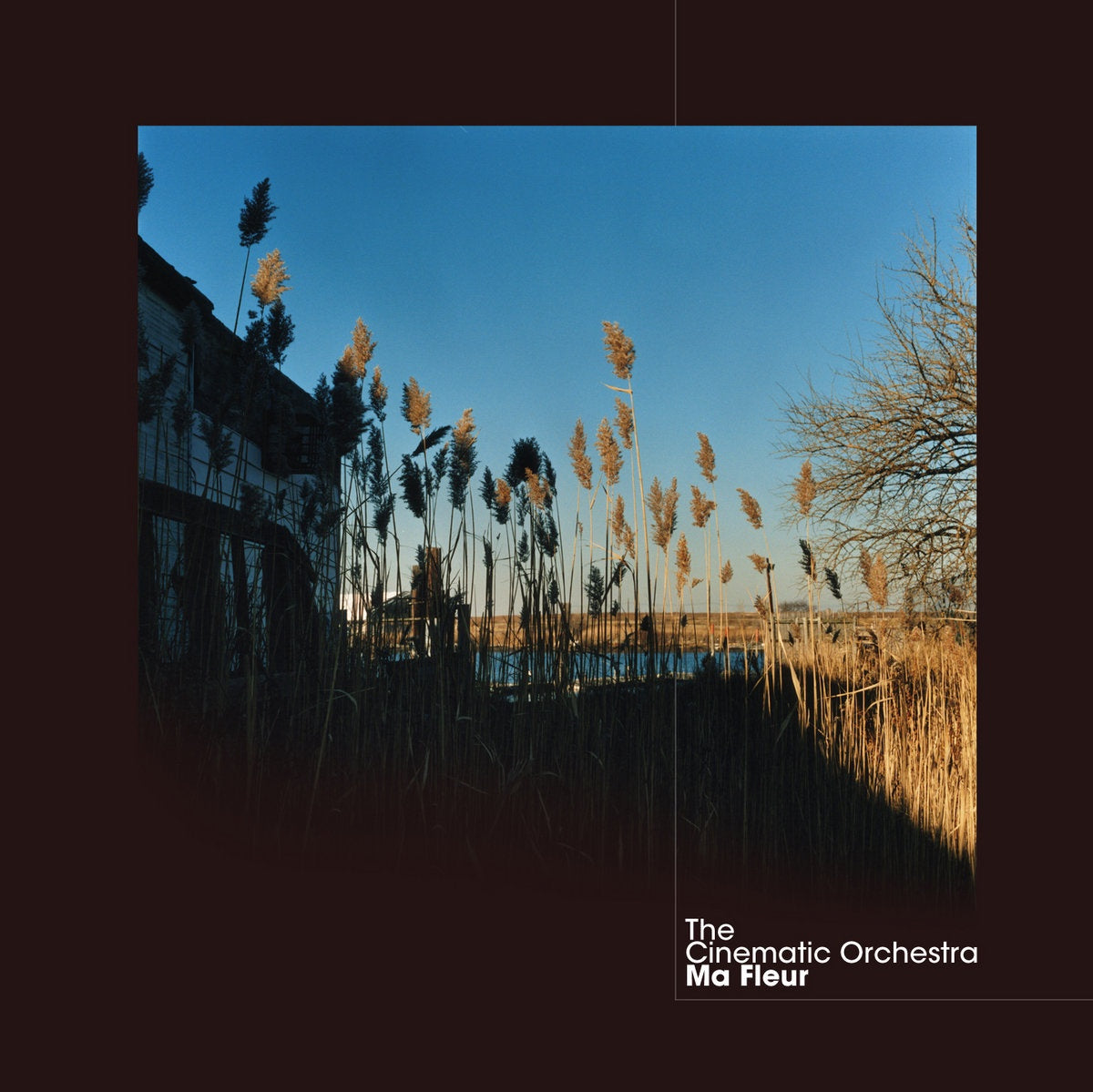 The Cinematic Orchestra – Ma Fleur (2021 Reissue, Clear Vinyl)